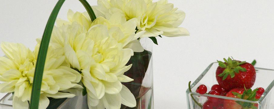 Flora Design Flora Design